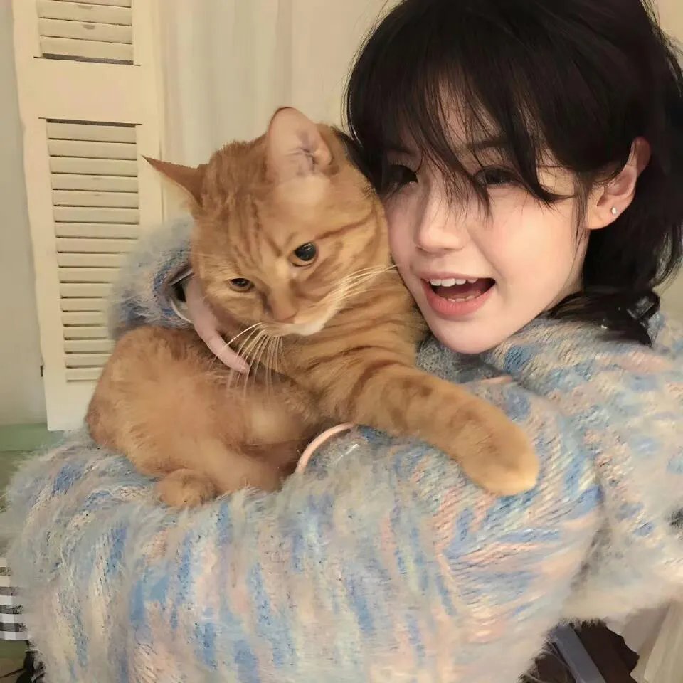 老男孩之猛龙过江海报